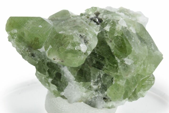Glossy Diopside Crystal Cluster with Epidote - Afghanistan #354657